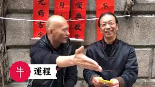 文武廟求籤十二生肖豬年運程 Part 1 [嘉賓：何漢明師傅] 〈好報在線〉2019-02-04