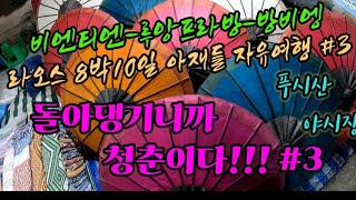 돌아댕기니까 청춘이다!!!! #3. 라오스 8박10일 자유여행  고속열차 소주압수 루아프라방 푸시산  야시장