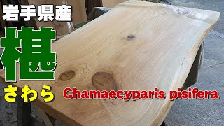 【販売済】大きな節のさわら一枚板×オイル塗装【木の店さんもく】How To Apply Oil Stain Finish To  Chamaecyparis pisifera