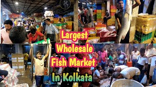 Largest Wholesale Fish Market In Kolkata | Howrah Wholesale Fish Market | Traveling 2 day |