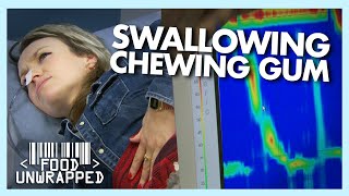 What Happens When You Swallow Chewing Gum | Food Unwrapped