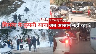 Shimla, Kufri Snow 25