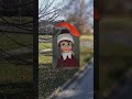 😳🌫️🤯OMG Is Santa Real Found In Google Earth!? #shots #hrgoogleearth #....