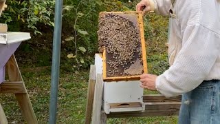 Overwintering Nucs