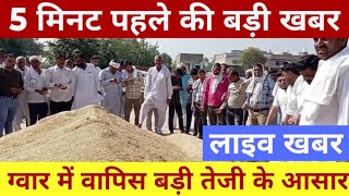 ग्वार का ताजा भाव, 06 जनवरी 2025 आज ग्वार में कितनी आई तेजी देखें भाव| gwar ka bhav,guar seed price