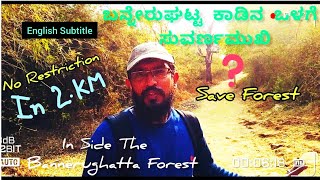 BANNERGHATTA FOREST Bangalore || ಬನ್ನೇರುಘಟ್ಟ ಅರಣ್ಯ ಬೆಂಗಳೂರು|| Save Forest with Widelife Animals