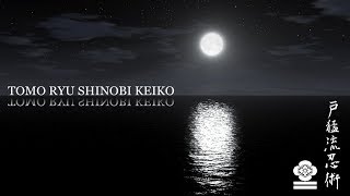 2009-2018 Reflections - Tomo Ryu Shinobijutsu Keiko | Ninja Martial Arts Training: Ninjutsu, Ninpo