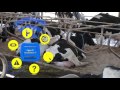 moomonitor wearable cow technology for health and fertility monitoring