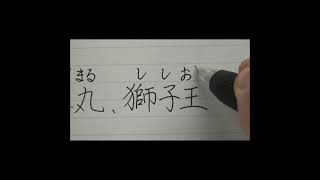 日本に数世帯しかいない珍しい名字（苗字）10選を書いてみた