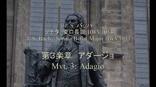 J. S. Bach / Sonata B-flat Major (original: C Major), BWV1033 for Soprano Recorder and B. C.