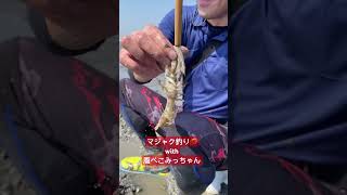 マジャク釣りが楽し過ぎる❗️🦐腹ぺこみっちゃんも大満足👍 #鮮魚タケル #熊本 #腹ぺこみっちゃん#マジャク#マジャク釣り#荒尾干潟#天ぷら