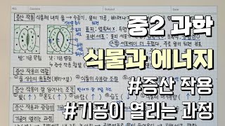 [중2 과학] 증산 작용, 증산 작용과 광합성, 식물의 증산 작용, 잎의 증산작용, 기공의 개폐, 과학 인강, 과학 개념 설명, 과학 필기, 과학발전소, 노트 필기