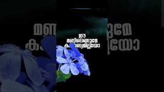 Irulil vithumbunna poove song #mangalangalarulum #kshanakkath #ownvoice  #malayalamsong #oldsong