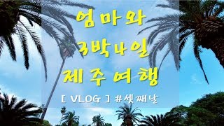 엄마와3박4일제주도여행[VLOG]셋째날 - 엘리야의소소한헤어