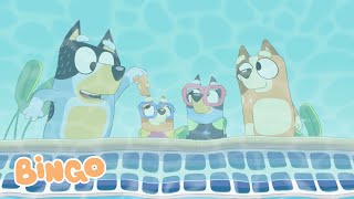 La piscina 🏊 I ¡Episodio completo! 📺 | Bingo - Español Canal Oficial 🧡 🇪🇸