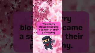 The Samurai Symbolism of Cherry Blossoms