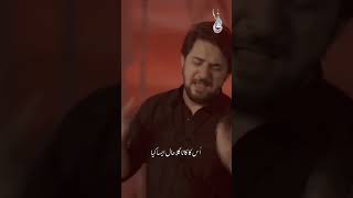 Farhan Ali waris #azadar #azadarehussain #azadarinetwork #karbala110 #karbalawale #hussaini