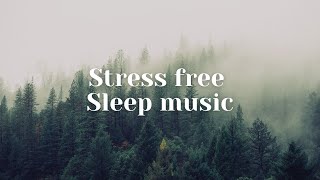 Deep Sleep Music 24/7, Calming Music, Insomnia, Sleep, Relaxing Music, Study, Sleep Meditation