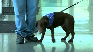 LASPCA- PetSmart Charities Adoption Weekend