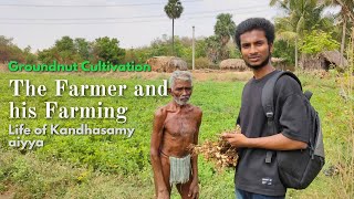 Groundnut Cultivation || வேர்க்கடலை (நிலக்கடலை ) விவசாயம் || கந்தசாமி ஐயா அறிவுரை❤️