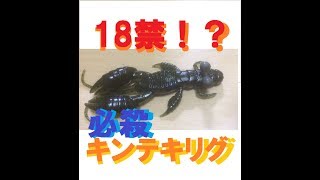 18禁！？　必殺キンテキリグ！！