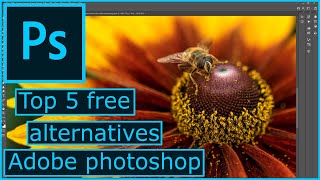 Top 5 free Adobe photoshop alternatives 2021