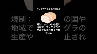 フォアグラの生産方法には動物福祉の観点から多くの議論が存在します。VOICEVOX:ずんだもん#フォアグラ #動物福祉 #強制給餌 #動物愛護 #食文化 #食品規制 #代替食品 #環境保護 #倫理