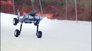 China's high-speed, off-road dog-like robot shows off on tough terrain