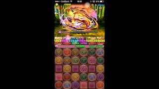 【パズドラ】　極限大和ラッシュ！　覚醒ラー　ノーコンクリア