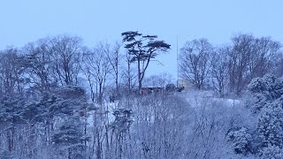 グリーンピア岩沼の展望台から初日の出を見物する人々