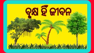 Brukhya hi Jibana Essay in Odia.ବୃକ୍ଷ ହିଁ ଜୀବନ ଓଡ଼ିଆ ରଚନା #tree #trees #treeoflife.