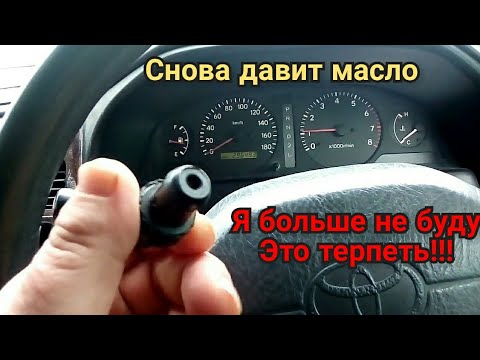 Дави на газ моторное масло