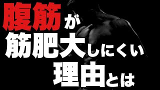 【山岸秀匡】なぜ腹筋は他の筋肉と比べて大きくなりにくいのか【切り抜き】