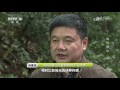 geography of china 20170204 the spring comes—the beast in liancheng village cctv