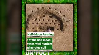 🌱 // UN*FUCT - Half-Moon Farming