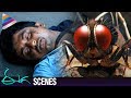 Nani Rebirth as Fly | Samantha Shocked by Nani's Demise | Eega Malayalam Movie Scenes | EECHA Movie