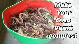 I Don't Buy costly VermiCompost Anymore || I'll Make It At Home