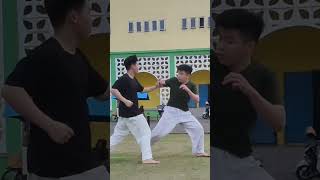 Taekwondo Vs Karate