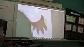AVID Interactive Notebook in Math