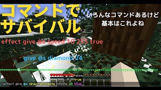 コマンド使ってサバイバル #minecraft