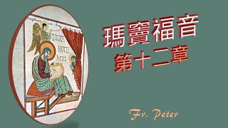 Fr. Peter  【瑪竇福音】 第十二章 比聖殿更大的