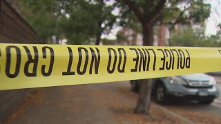 Chicago sees slight drop in murders, shootings in 2024, police say