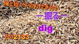 俺と姪っ子のお付き合い－掘る－その2133 dig