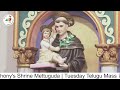 fr. t. pranay tuesday telugu mass 7 am st. anthony s shrine mettuguda 25 2 25