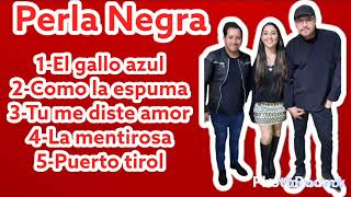 ✅️ ENGANCHADO CUMBIA CAMPERA_PERLA NEGRA_EL GALLO AZUL_COMO LA ESPUMA_TU ME  DISTE AMOR-LA MENTIROSA