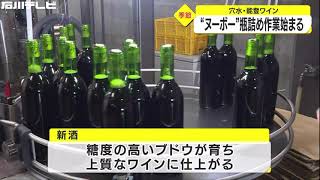 赤白計6千本出荷へ…能登ワインヌーボー瓶詰作業始まる フルーティーな仕上がりに 石川・穴水町