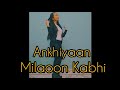 Ankhiyaan Milaoon Kabhi - Raja | Dance Cover | Let Me Dance | Richa Chandra Choreo 🔥