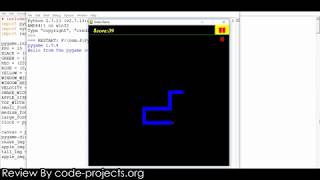 Snake Game In PYTHON With Source Code | Source Code & Projects