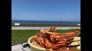 新潟県・糸魚川市・能生