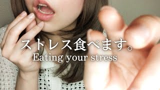 あなたのストレスを食べます。Eating your stress.